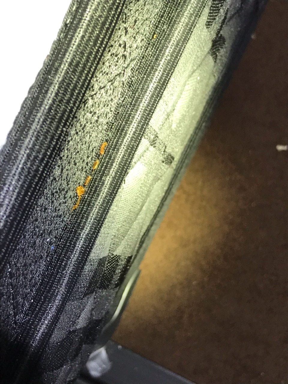 Gallery Images : RedBack Pest Management.