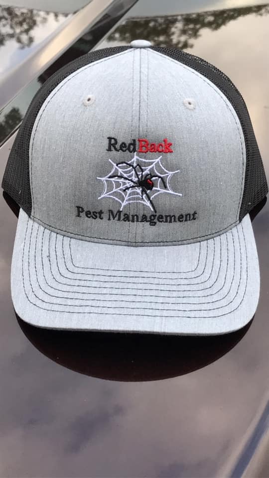 Gallery Images : RedBack Pest Management.